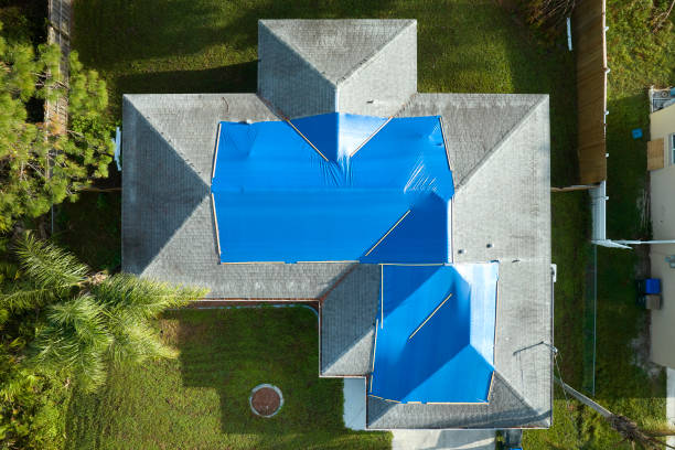 Best Asphalt Shingles Roofing  in Coaldale, PA